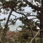 Balatonboglári Kalandpark és Bobpálya Balatonboglár - Egyéb