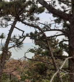 Balatonboglári Kalandpark és Bobpálya