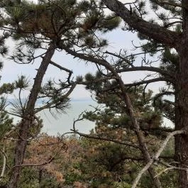 Balatonboglári Kalandpark és Bobpálya Balatonboglár - Egyéb