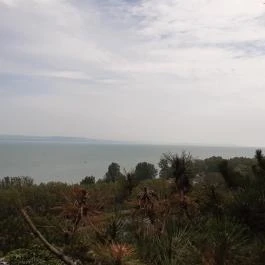 Balatonboglári Kalandpark és Bobpálya Balatonboglár - Egyéb