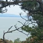 Balatonboglári Kalandpark és Bobpálya Balatonboglár - Egyéb