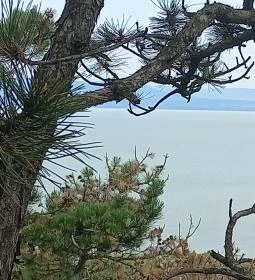 Balatonboglári Kalandpark és Bobpálya