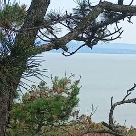 Balatonboglári Kalandpark és Bobpálya Balatonboglár - Egyéb