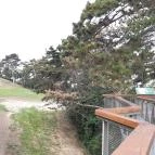 Balatonboglári Kalandpark és Bobpálya Balatonboglár - Egyéb