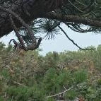 Balatonboglári Kalandpark és Bobpálya Balatonboglár - Egyéb