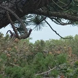 Balatonboglári Kalandpark és Bobpálya Balatonboglár - Egyéb