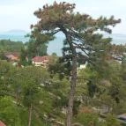 Balatonboglári Kalandpark és Bobpálya Balatonboglár - Egyéb