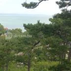 Balatonboglári Kalandpark és Bobpálya Balatonboglár - Egyéb