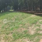 Balatonboglári Kalandpark és Bobpálya Balatonboglár - Egyéb