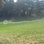 Balatonboglári Kalandpark és Bobpálya Balatonboglár - Egyéb