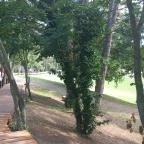 Balatonboglári Kalandpark és Bobpálya Balatonboglár - Egyéb