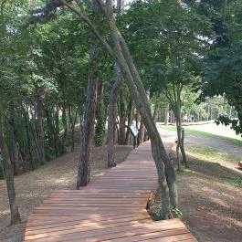 Balatonboglári Kalandpark és Bobpálya Balatonboglár - Egyéb