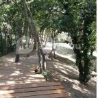 Balatonboglári Kalandpark és Bobpálya Balatonboglár - Egyéb