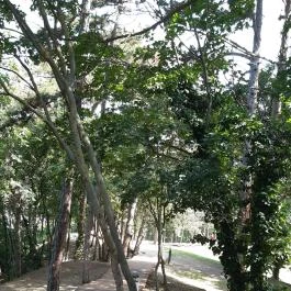 Balatonboglári Kalandpark és Bobpálya Balatonboglár - Egyéb