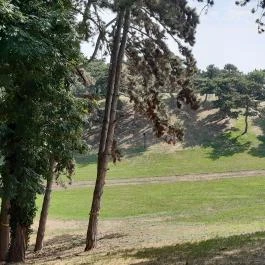 Balatonboglári Kalandpark és Bobpálya Balatonboglár - Egyéb