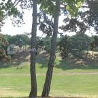 Balatonboglári Kalandpark és Bobpálya Balatonboglár - Egyéb