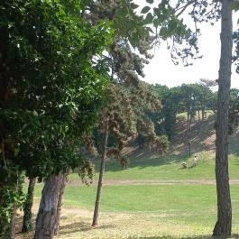 Balatonboglári Kalandpark és Bobpálya Balatonboglár - Egyéb