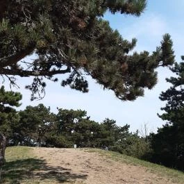 Balatonboglári Kalandpark és Bobpálya Balatonboglár - Egyéb