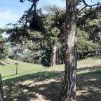 Balatonboglári Kalandpark és Bobpálya Balatonboglár - Egyéb