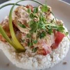 Bárka Szeged - Egyéb