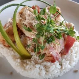 Bárka, Szeged - Egyéb