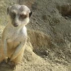 Bella Állatpark Siófok - 