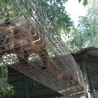 Bella Állatpark Siófok - 