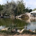 Bella Állatpark Siófok - 