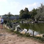 Bella Állatpark Siófok - 