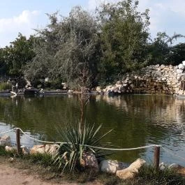 Bella Állatpark Siófok - Egyéb