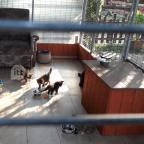 Bella Állatpark Siófok - 