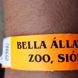 Bella Állatpark Siófok - Egyéb