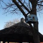 Bohém Birtok Zamárdi - Egyéb