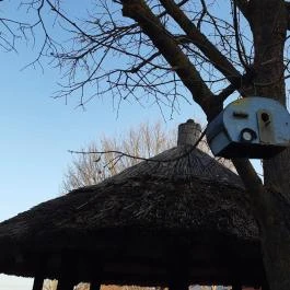 Bohém Birtok Zamárdi - Egyéb