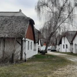 Bohém Birtok Zamárdi - Egyéb