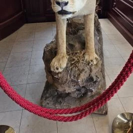 Borostyán Med Hotel Nyíradony-Tamásipuszta - Belső