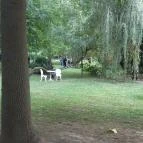 Borostyán Birtok - Vadászház Étterem Szeged - Egyéb