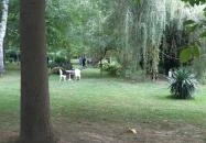 Borostyán Birtok - Vadászház Étterem Szeged