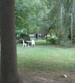 Borostyán Birtok - Vadászház Étterem