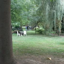 Borostyán Birtok - Vadászház Étterem Szeged - Egyéb