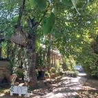 Borostyán Birtok - Vadászház Étterem Szeged - Egyéb