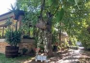 Borostyán Birtok - Vadászház Étterem Szeged