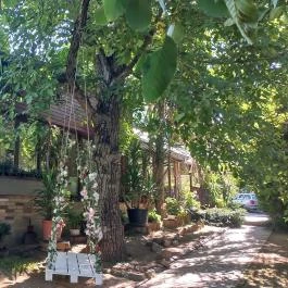 Borostyán Birtok - Vadászház Étterem Szeged - Egyéb
