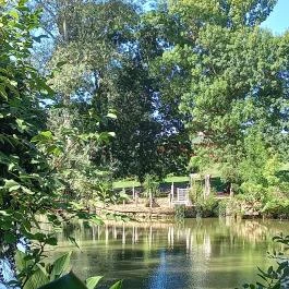 Borostyán Birtok - Vadászház Étterem Szeged - Egyéb