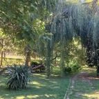 Borostyán Birtok - Vadászház Étterem Szeged - Egyéb