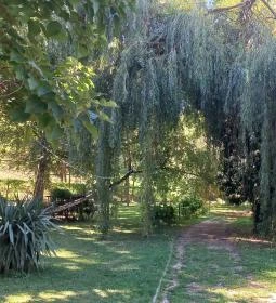 Borostyán Birtok - Vadászház Étterem