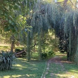 Borostyán Birtok - Vadászház Étterem Szeged - Egyéb