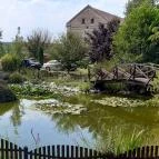 Bőszénfai Szarvasfarm Bőszénfa - 