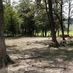 Bőszénfai Szarvasfarm Bőszénfa - 