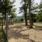 Bőszénfai Szarvasfarm Bőszénfa - 